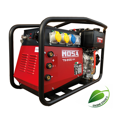 Picture of TS200 DES/CF Diesel Welder Generator 110/230V 190A